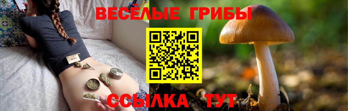 Альметьевск  что такое наркотик  Вход с VPN  Псилоцибиновые грибы мицелий 